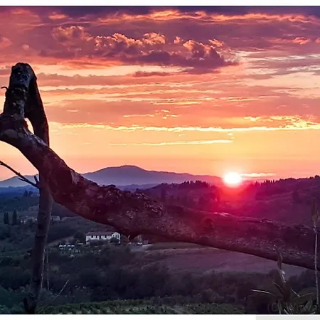 فندق مبيت وإفطار Le Poggiole